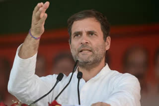 rahul gandhi congratulated telangana congress on narsimha rao's birthday