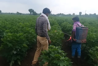 Farmers upset due to no rain