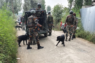 Terrorist killed in encounter in Srinagar