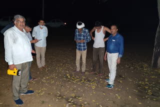 late night locust attack in khedi village of sirsa