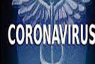 latest updates of corona virus in gujarat