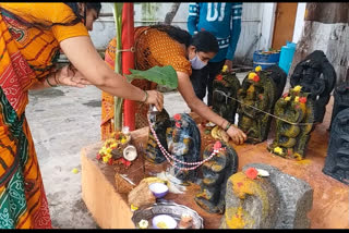 Nagara Panchami Celebration