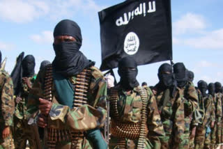 Significant numbers of ISIS terrorists in Kerala, Karnataka: UN report