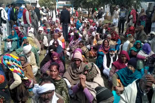 Demand for restoration of old pension again in Bhiwani