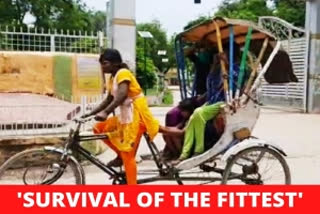 Teenage girl in Bihar forced to pull rickshaw to sustain family amid COVID-19 pandemic