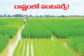 Agriculture Officers crop survey in telangana State