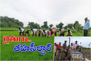 kamepalli thahasildar kanakam narasimharao cultivation with tractor