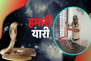 devendra-das-protected-more-than-60-thousand-snakes-in-kondagaon