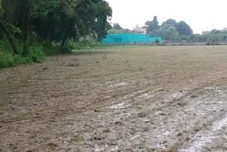 Paddy farmer upset due to no rain in Gwalior