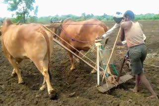 Crop insurance managers cheated to farmers in nanded