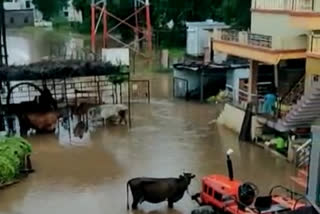 Torrential rains in Pathrot village; Water seeped into the homes of many