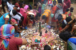 nagula panchami festival celebrations at gajwel in siddipeta