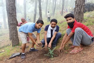 BJYM planted tress in kullu