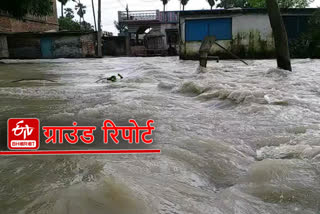 flood situation in bihar,  ETV bharat ground report ,  flood in bihar,  बिहार में बाढ़,  बिहार सरकार की खबरें, बिहार में बाढ़ की खबरें