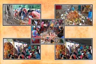 grandly celebrated nagula panchami in telangana