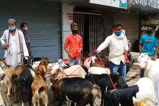 silent in bakra mandi due to corona epidemic in darbhanga bihar