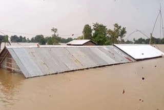 Assam floods  Schools  buildings  floods  അസം പ്രളയം  കെട്ടിടങ്ങള്‍ വെള്ളത്തിനടിയില്‍