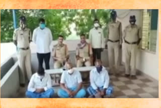 seized red sandalwood in kadapa dst