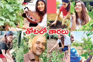 film stars started doing gardening during lock down