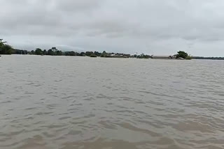 ASSAM FLOOD UPDATE