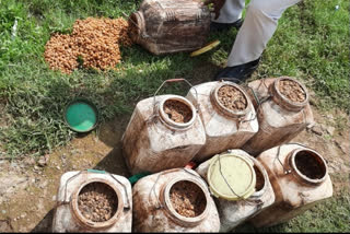 525 kg mahua lahn and 13 liter hand furnace liqueur recovered