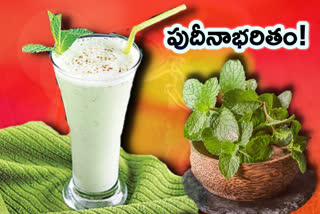 learn mint leaves  recipes like scotch, raita, pudheeena water etc,. in telugu