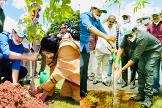 pawan kalyan green india cha;llenge