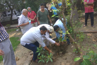 plantation in Mukherjee nagar by Dilip Pandey