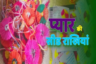 seed rakhi