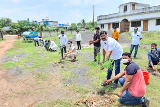 plantation on Kargil Vijay Day