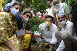 MLA Raghav Chadha started plantation campaign in Rajendra Nagar Vidhan Sabha