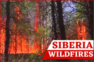 Siberia Wildfires