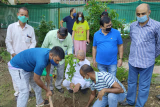 Malviya Nagar Plantation