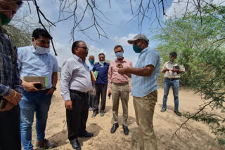 Jalore news, inspection of locust control work, टिड्डी नियंत्रण कार्य का निरीक्षण