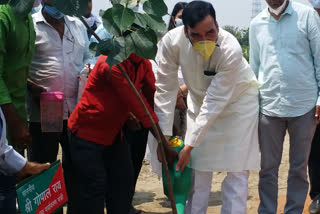 gopal rai end of mega plantation drive in delhi