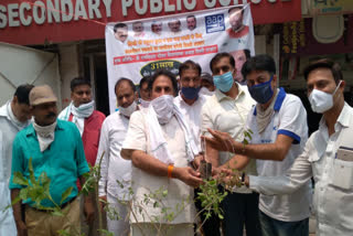 Former MLA shri Dutt Sharma organize tree planting fortnight