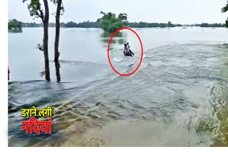 two youths of bike riders drifted along the bike due to sharp edge in motihari