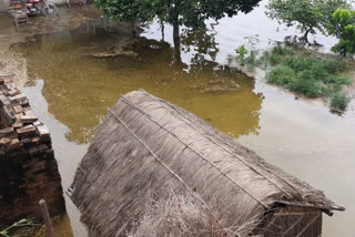 बाढ़ के पानी में डूबा गांव