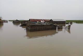 ASSAM FLOOD UPDATE