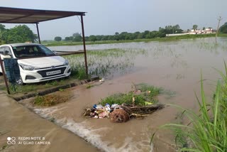 Kaladhungi Heavy Rain News