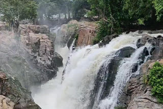 water rise in hogenakkal due to continuous rain in karnataka