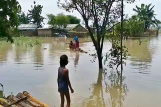 Assam flood report update etv bharat news