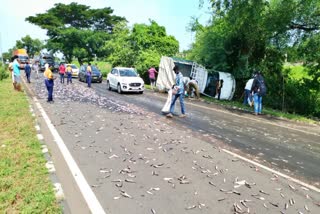 van carrying the load of fish