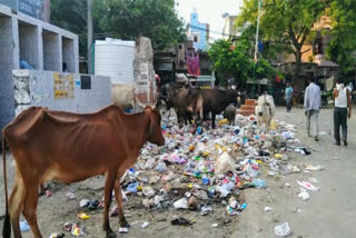 People are upset due to garbage in Kali Basti of Uttam Nagar