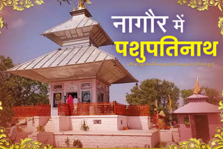 Pashupatinath Mahadev Temple, nagore news