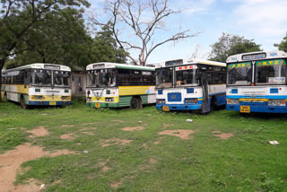 rental bus owners