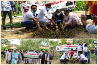 MLA Vinay Mishra did sapling plantation in Dwarka on Van Mahotsav