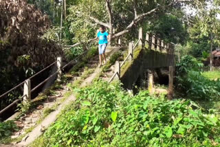 kothekattu bridge  latest pta  അരനൂറ്റാണ്ടിലേറെ കാലപ്പഴക്കമുള്ള കോതേകാട്ട് പാലം അപകടാവസ്ഥയില്‍