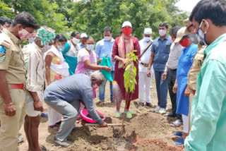 'గ్రామ ప్రజలు సేదతీరేందుకు ప్రకృతి వనాలు భేష్'