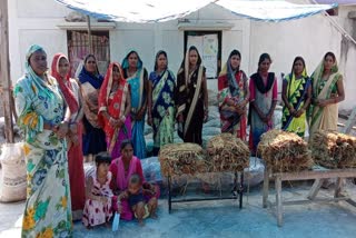 Mushroom Production in Janjgir